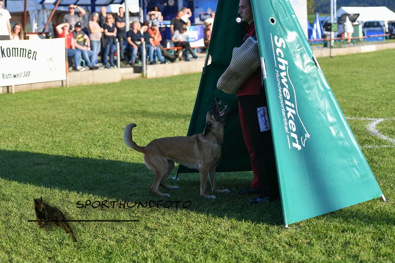 Impressionen 232.jpg